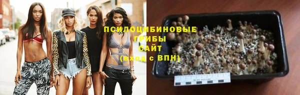 мескалин Алексеевка