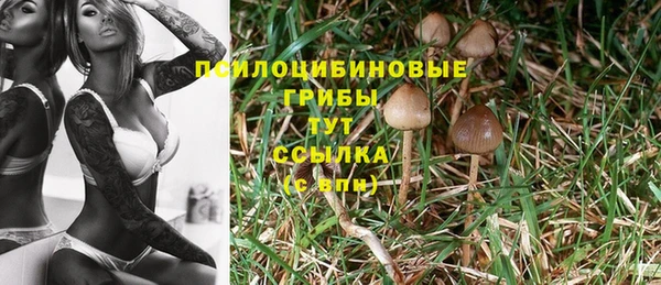 мескалин Алексеевка